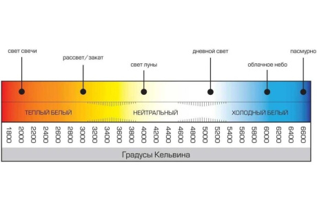 Купить Лампа св.диод. свеча 8Вт 230В Е14 6500К  IN HOME фото №3